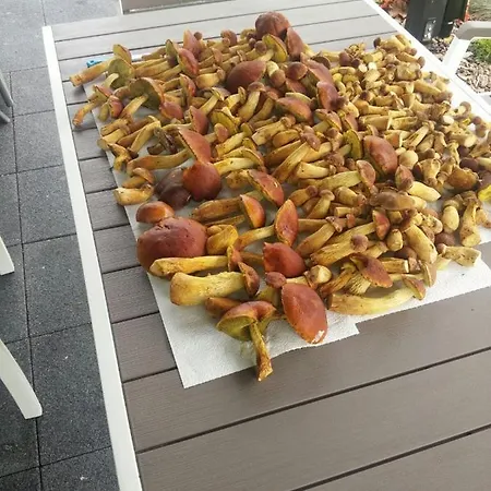Na Plazowej * Lubiatowo (Pomerania)