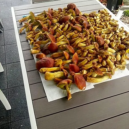 Na Plazowej Lubiatowo (Pomerania)