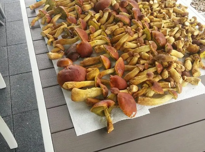 Na Plazowej * لوبيتاتو